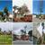 WEST HOLLYWOOD 🌳 Tree & Palm Service 🌴Trimming, Removal, Stump 🪵 4 thumbnail