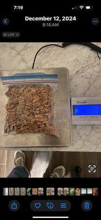 Pecans fresh local native picked out halves 1