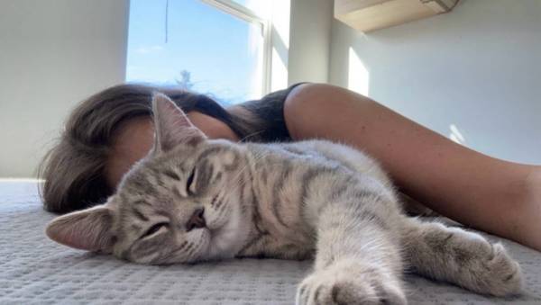 Cat (Bonney Lake)63885716953345124