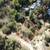 Vacant Land for Sale - 3905 N Hopevale Dr 2 thumbnail