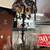 ANTIQUE FURNITURE TABLES CHAIRS DESK HANGING LIGHTS & LAMPS 5 thumbnail