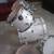 Drum set, PDP, 5 pieces 8 thumbnail