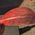 1 red kayak paddle...2 single black oars 6 thumbnail