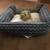 Top Paw 18” x 20” padded Cat Bed with two toys & chew stick 5 thumbnail