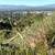 Martson Drive Encino 7000 sqft 4 thumbnail