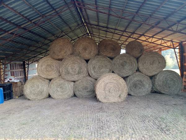 Round Bales 1