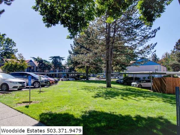 $1,399 / 2br - 982ft2 - Where affordability meets comfort! ONE MONTH FREE! (Salem)63660478590339123