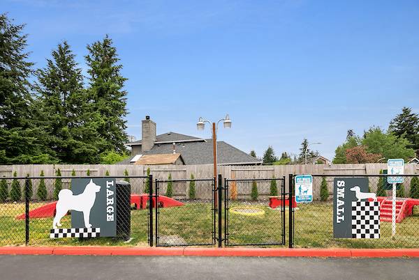 $2,153 / 2br - 960ft2 - Beautiful Two Bedroom in the Renton Highlands (Renton)63929304057219122