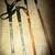 Ski poles taller persons,  1 sets 3 thumbnail