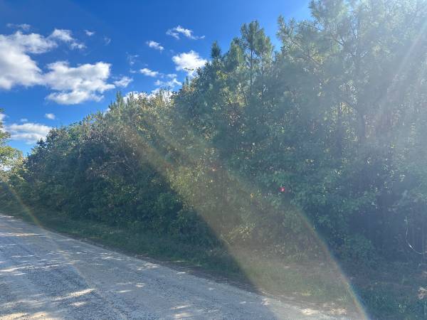 $79,995 Brunswick Co. - Mereithville area, 10 Acres on Rt. 781, Owner Fin! (Alberta)64204223293315122