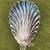 Antique 1847 ROGERS BROS A1 SILVERPLATE SUGAR SHELL SPOON 5 thumbnail