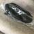 Honda Odyssey 2000 Left Sliding Door handle 7 thumbnail