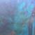 110 Gallon tall aquarium breakdown sale 12 thumbnail