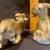 5 set of vintage salt & pepper shakers Japan (A) 3 thumbnail