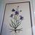 Signed Floral Framed Art 6 thumbnail