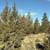 #6 Canvasback Drive ~ 1.88 Acres ~ Trees ~ Excellent Road~ 13 thumbnail