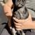 FRUG PUPPIES 3 thumbnail