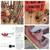 RIDGID Pipe Cutter 2"-4" 3/8"-4" Pipe Dies & Cast iron Snap cutter 1 thumbnail