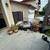 Junk Removal, Junk Hauling, Dirt removal, Concrete removal, 7 thumbnail