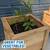 Cedar Planter Box 2 thumbnail