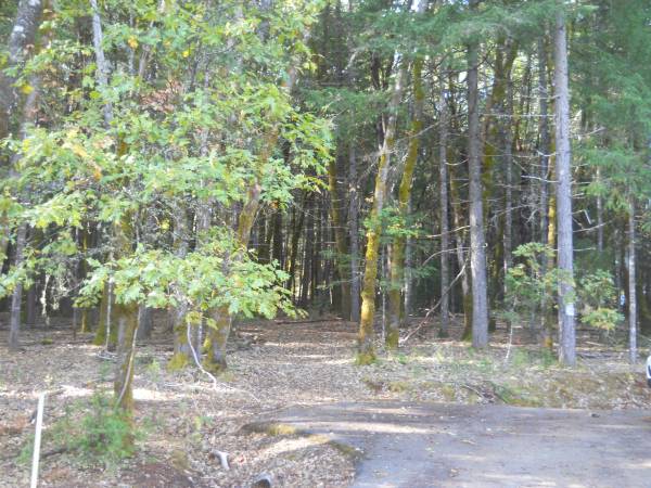 $175,000 30k down, 2.5 ac in quiet area of nice homes. 15 min from Grants Pass (Grants Pass)64318774953730124