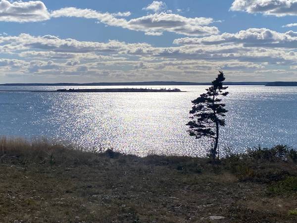 Oceanfront Property
$149,000
                        Nova Scotia Canada Oceanfront Property
$149,000
                        Nova Scotia Canada