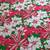 Christmas Thanksgiving ROUND vintage Poinsettia partyTABLE CLOTH 3 thumbnail
