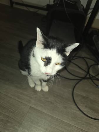 Affordable Music lessons 1