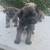 Schnauzer puppies 3 thumbnail