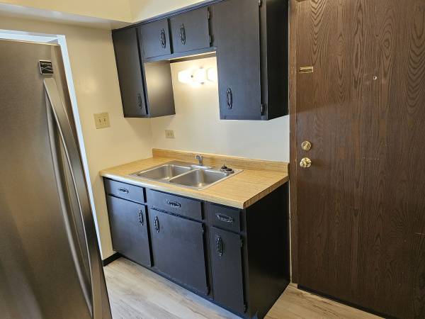 $1,200 / 2br - Apartment for rent (Mokena)63781631288195122