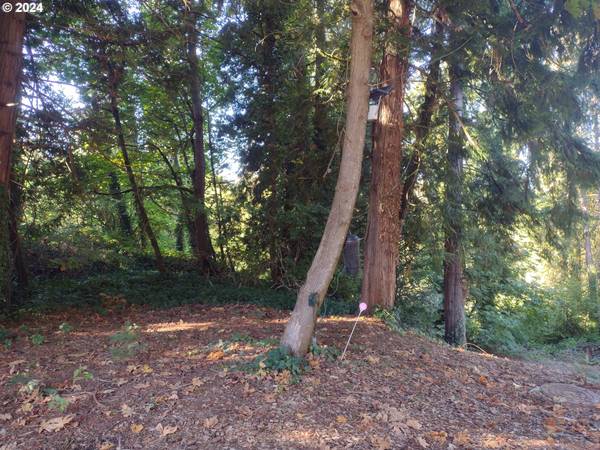 $249,900 1.08 ACRES! GREAT LOCATION! (Hillsboro)64170667649795124