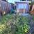 Yard cleanup & gardening 7 thumbnail