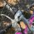Trek girl bike 6 thumbnail