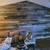 Barn Wood Sale 7 thumbnail