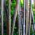 BAMBOO RODS Support Sticks Tiki Hut Patio Tent Island Motif 40 Lot 7 thumbnail