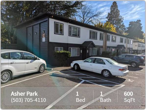 $1,300 / 1br - 600ft2 - In the heart of the action! 1 bed, 1 bath. Don't miss out! (Portland)63914971997570121