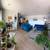 Peaceful, Cozy Room in a Plant-Filled 2BR Home – Available NOW! 5 thumbnail