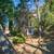 EXCEPTIONAL 18th CENTURY PROVENCE BASTIDE + VINEYARD ESTATE - 35 HA 3 thumbnail