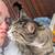 Nicole's Pawsome PetCare 1 thumbnail