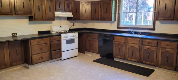 $800 / 1br - SPACIOUS 1 BEDROOM (BRACKENRIDGE)64013371313921124