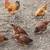 Laying hens/Chickens 3 thumbnail