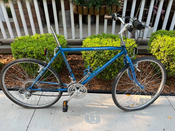 Schwinn Miranda 18” frame 1