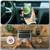 Phone Case for iPhone 12 / iPhone 12 Pro - Black, Temdan Bumper - New! 11 thumbnail