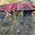 OLD LARGE  RAILROAD  CART 17 thumbnail