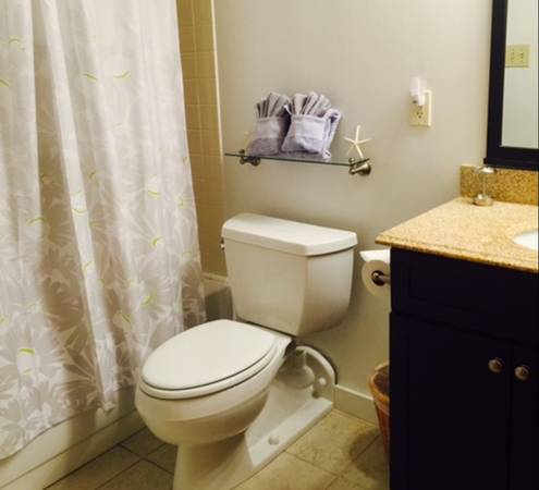$2,800 / 1br - 740ft2 - 1 Bdrm Stowe Condo Avail Nov 1 (Stowe)63992934896770124