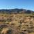 Rural land in Southern Arizona 3 thumbnail
