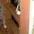 Hand-made Loft Bed 5 thumbnail