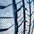 245 60 18 Pathfinder Tires 5 thumbnail