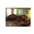 1 Bedroom Apt. 2 thumbnail