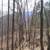 Lake Lure Rumbling Bald Resort 3 thumbnail
